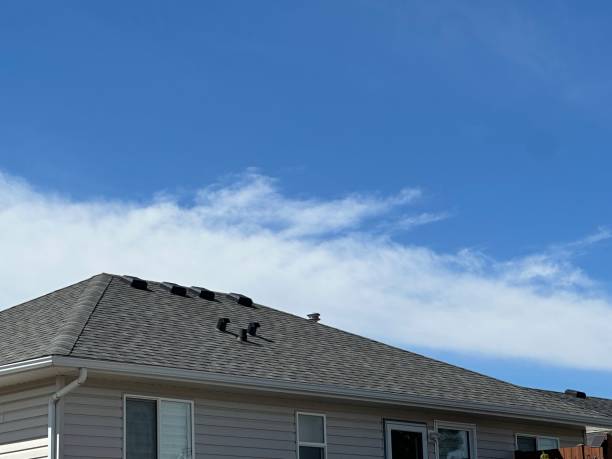 Best Sheet Metal Roofing  in Norton, OH